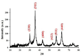 Dynamic light scattering results of (a) WSCS-220, (b) WSCS-450, (c) LWCS-220, and (d) LWCS-450 nanoparticles showing mean size distributions and PDI values.