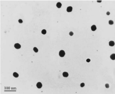 TEM image of the WSCS-450 sample.