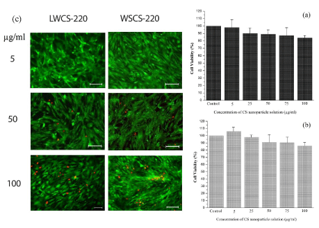 <em>In vitro</em> cytotoxicity assessments of viability of HUVEC cell line (a) CCK-8 assay evaluation of cells incubated with WSCS-220 solution (b) CCK-8 assay evaluation of cells incubated with LWCS-220 solution, and (c) results of the Live/Dead cell assay and the subsequent fluorescent imaging at various CS concentrations.
